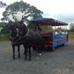downfield-carriages-2